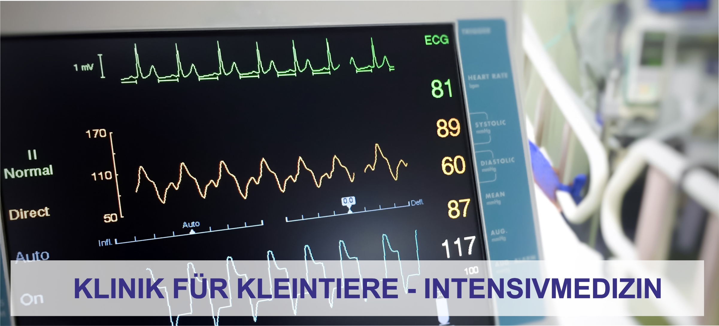 Intensivmedizin der Klinik für Kleintiere