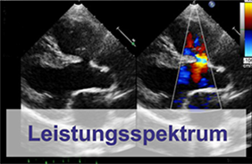 Leistungsspektrum Kardiologie