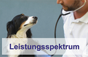 Leistungsspektrum