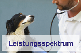 Leistungsspektrum