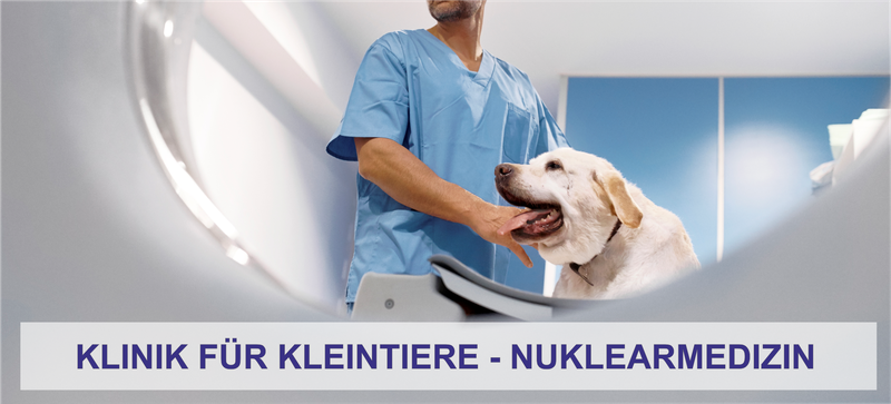 Nuklearmedizin der Klinik für Kleintiere