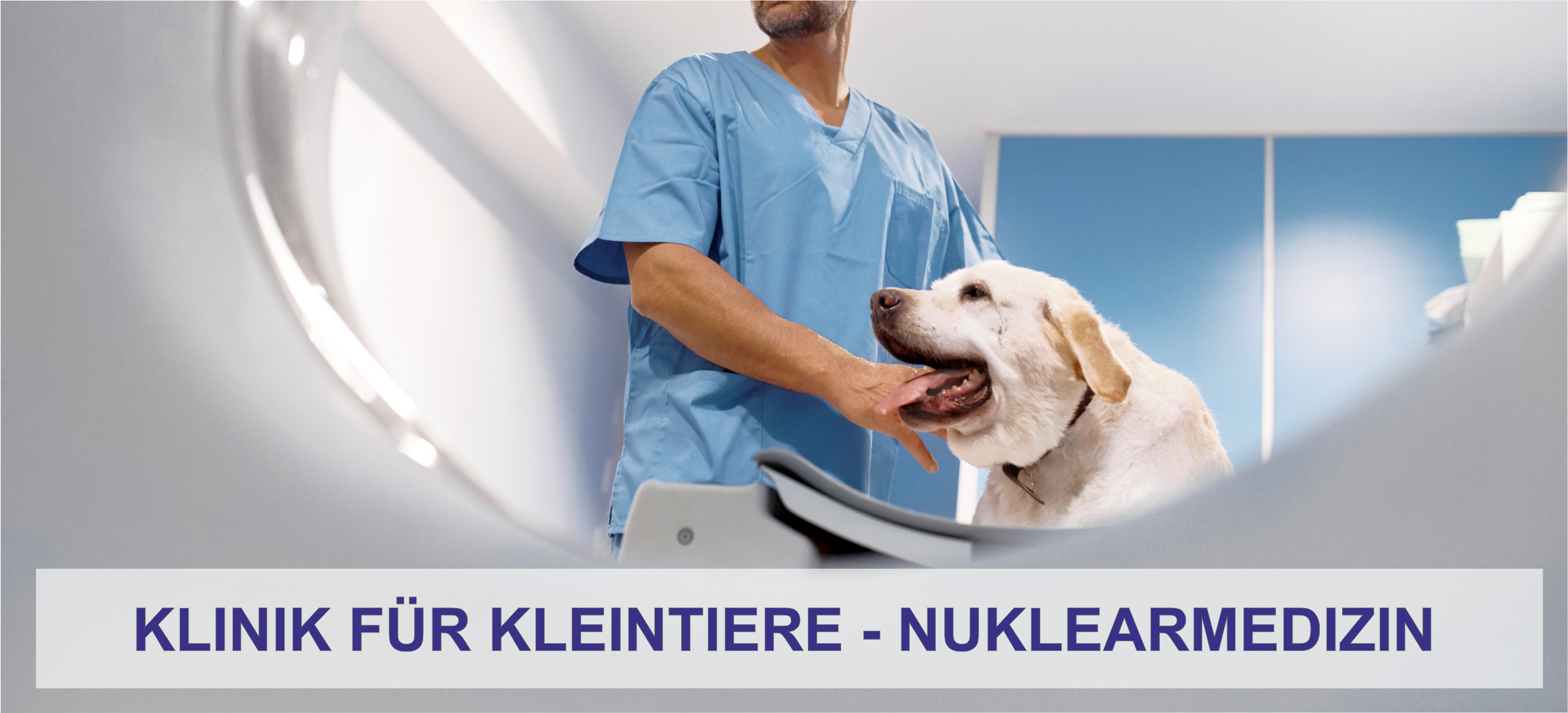 Nuklearmedizin der Klinik für Kleintiere
