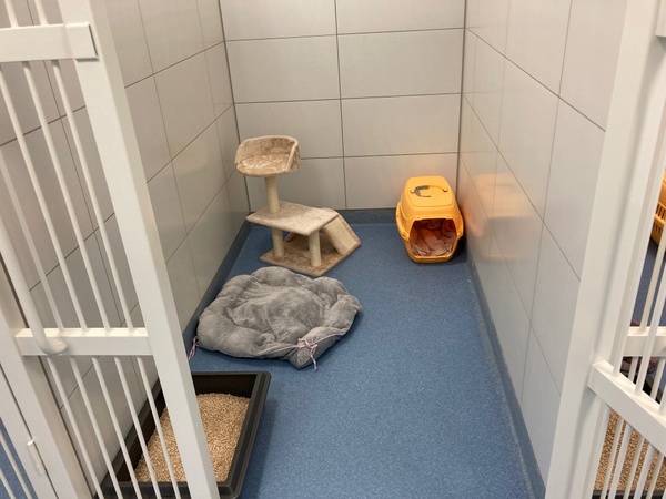 Katzenbox Unterbringung unserer Katzenpatienten
