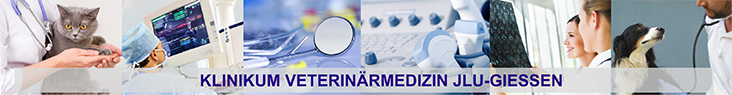 Bannerbild