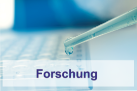 Forschung Grundlagenforschung