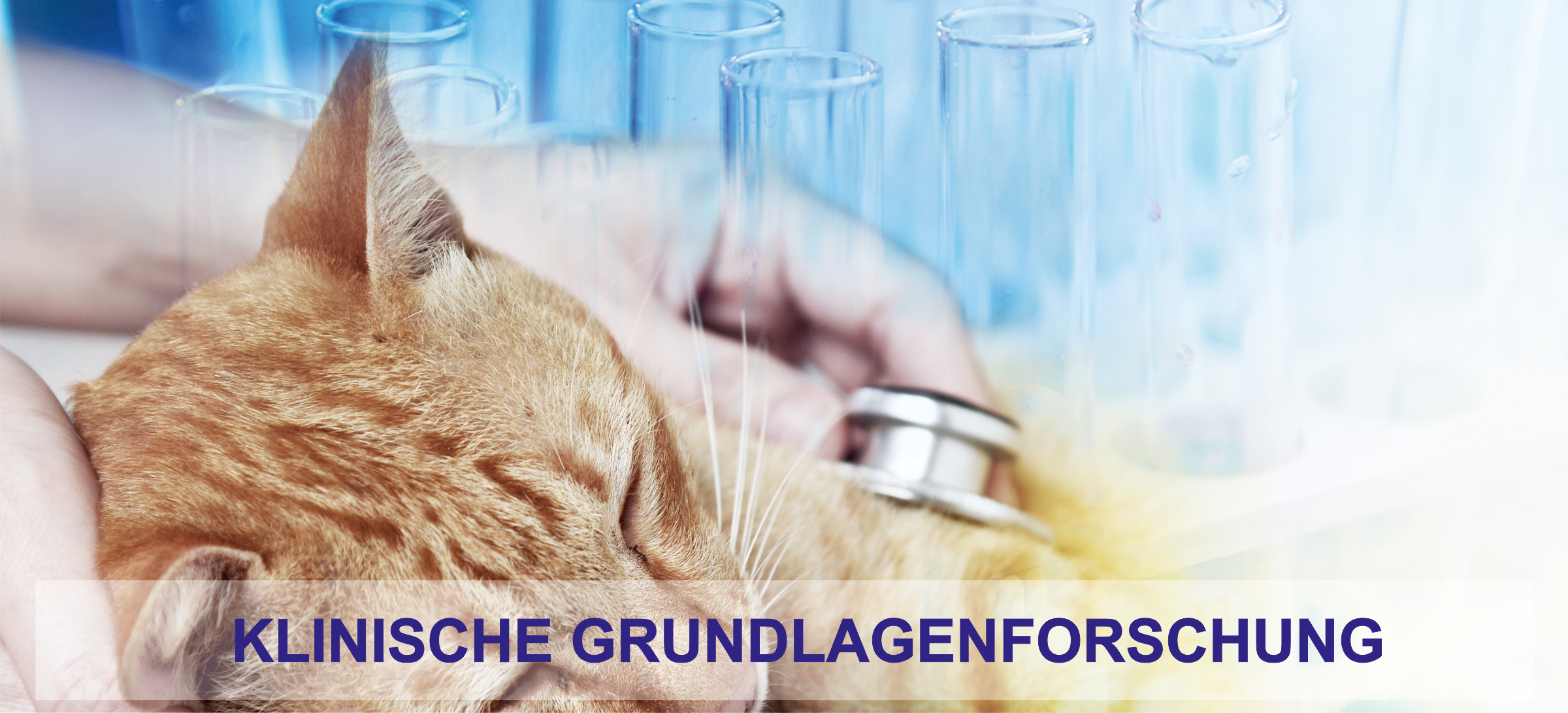 Grundlagenforschung