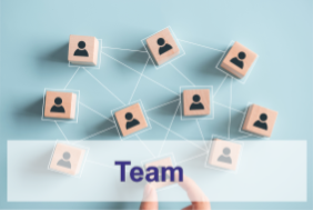 Team Grundlagenforschung