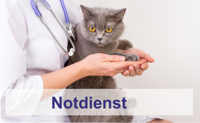 Notdienst