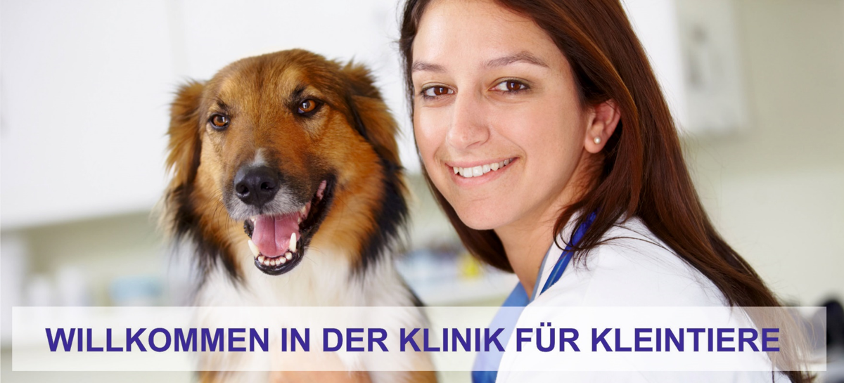 Willkommen