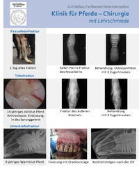 Bild Flyer Frakturversorgung