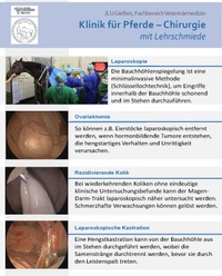 Flyer Laparoskopie