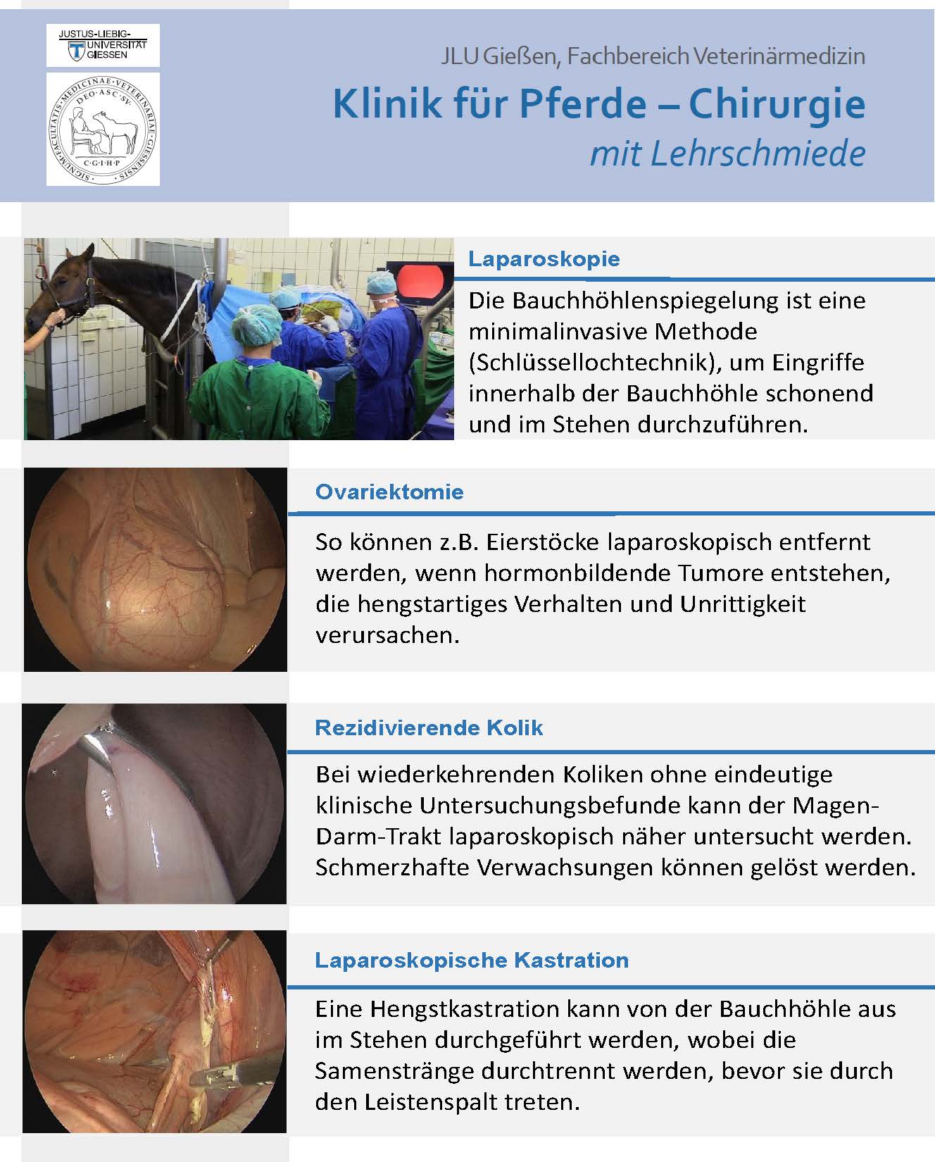 Flyer Laparoskopie
