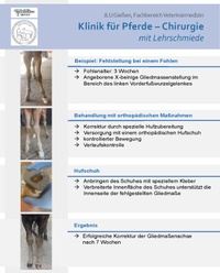 Flyer Orthopädie und Lehrschmiede