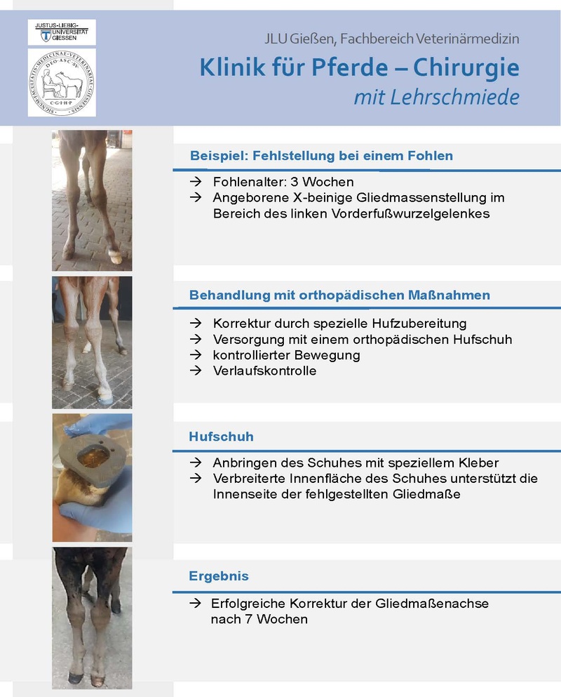 Flyer Orthopädie und Lehrschmiede