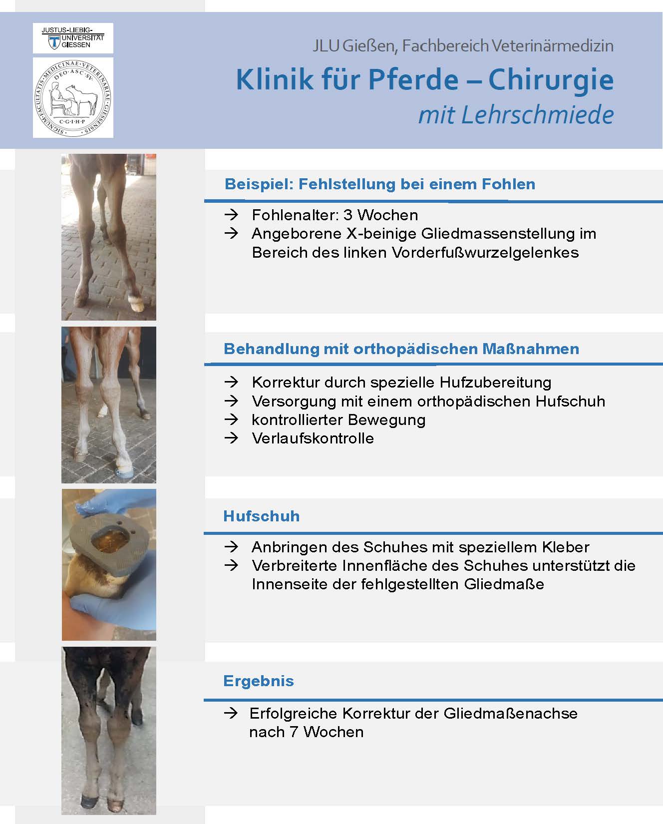 Flyer Orthopädie und Lehrschmiede