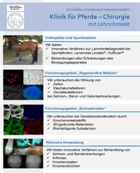 Flyer Orthopädie und Regenerative Medizin