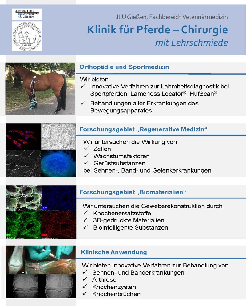 Flyer Orthopädie und Regenerative Medizin