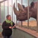 Nashorn Medical Training
