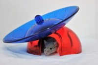 Maus sitzt in einem bunten Häuschen