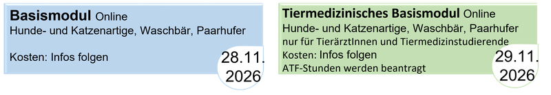 Bild6.png
