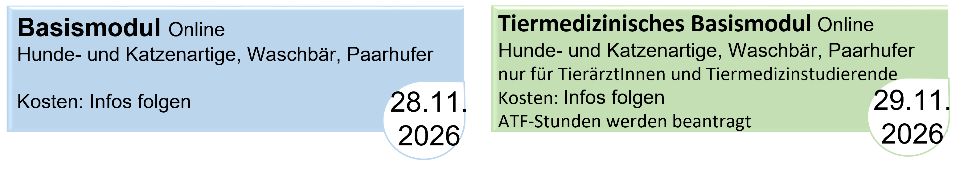 Bild6.png