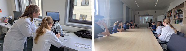 Lehrveranstaltungen.png