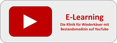 E-Learning