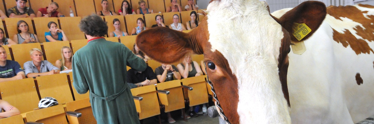 Studium, Weiterbildung und Lehre