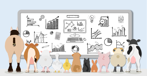 Startbild "Statistik in der Tiermedizin"