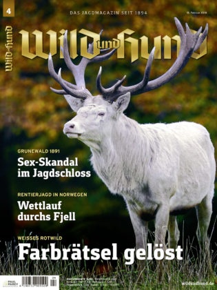 001_001_WUH_Titel_0418_1315x420.jpg
