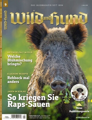 001_001_WUH_Titel_0919_1322x420.jpg