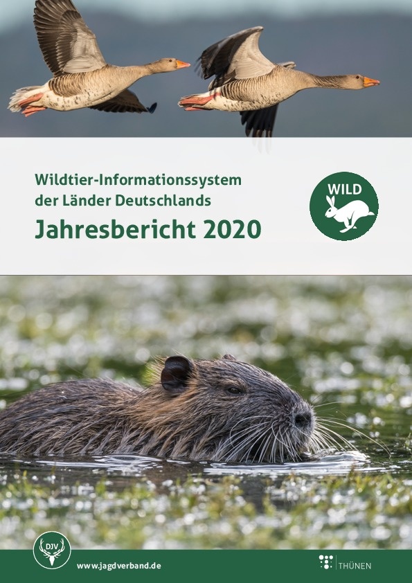 202201202201_Broschuere_WildBericht_2020.jpg