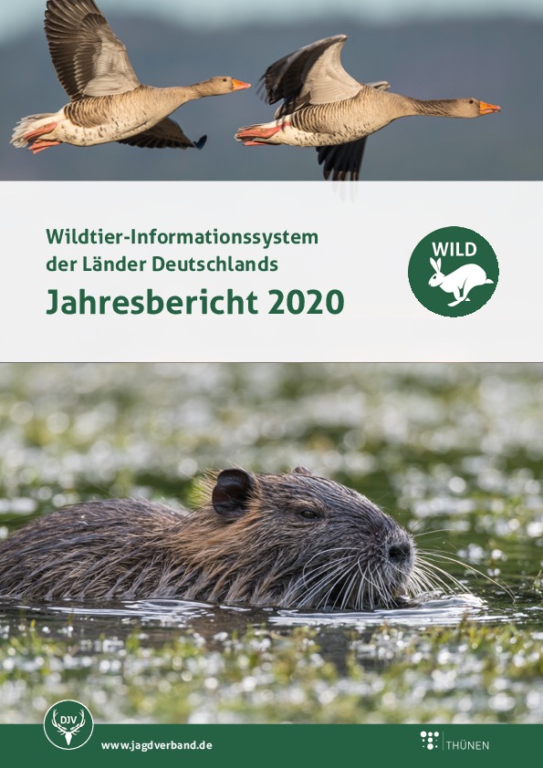202201202201_Broschuere_WildBericht_2020.jpg