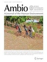 AMBIO7.jpg