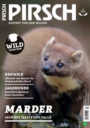 Cover_PIRSCH_17_2018.jpg