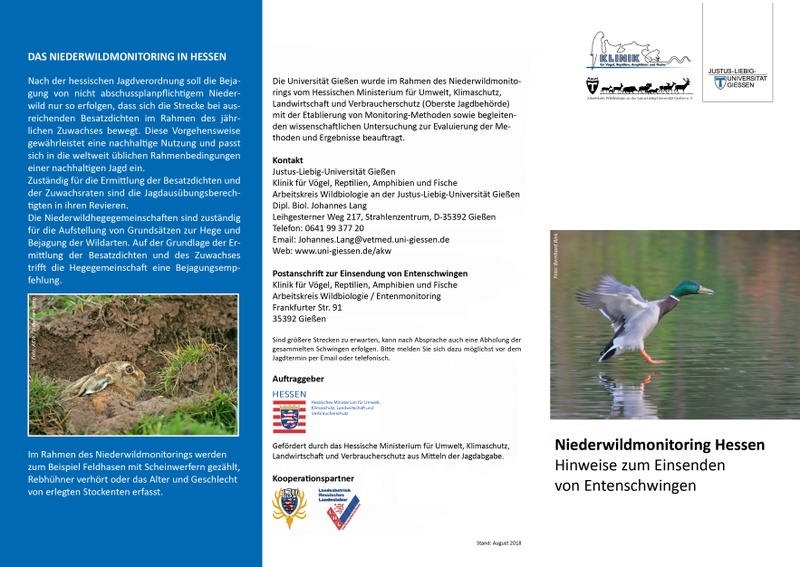Entenflyer11Kopie.jpg