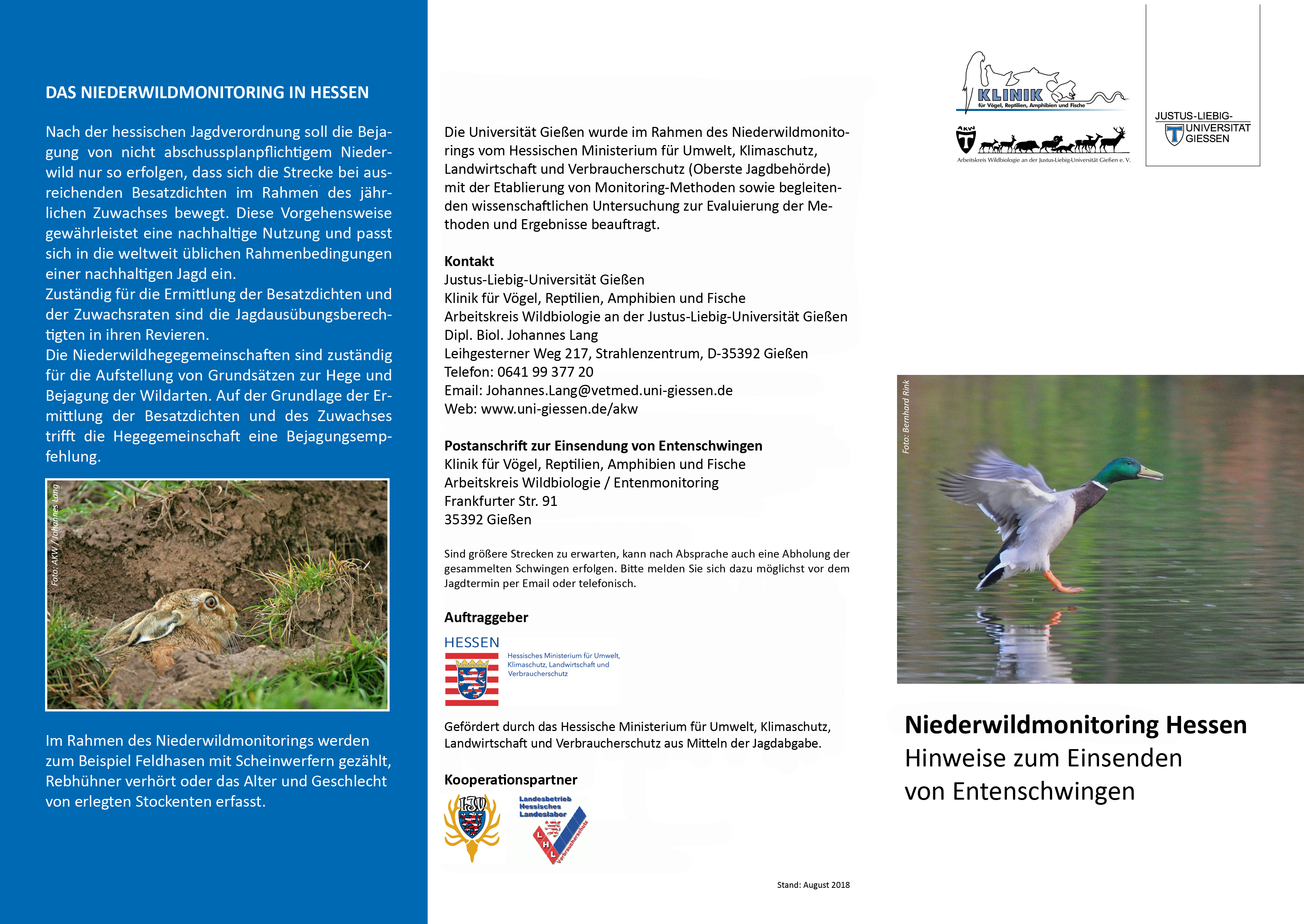 Entenflyer11Kopie.jpg