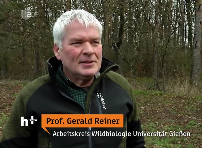 GR_ZDF.jpg