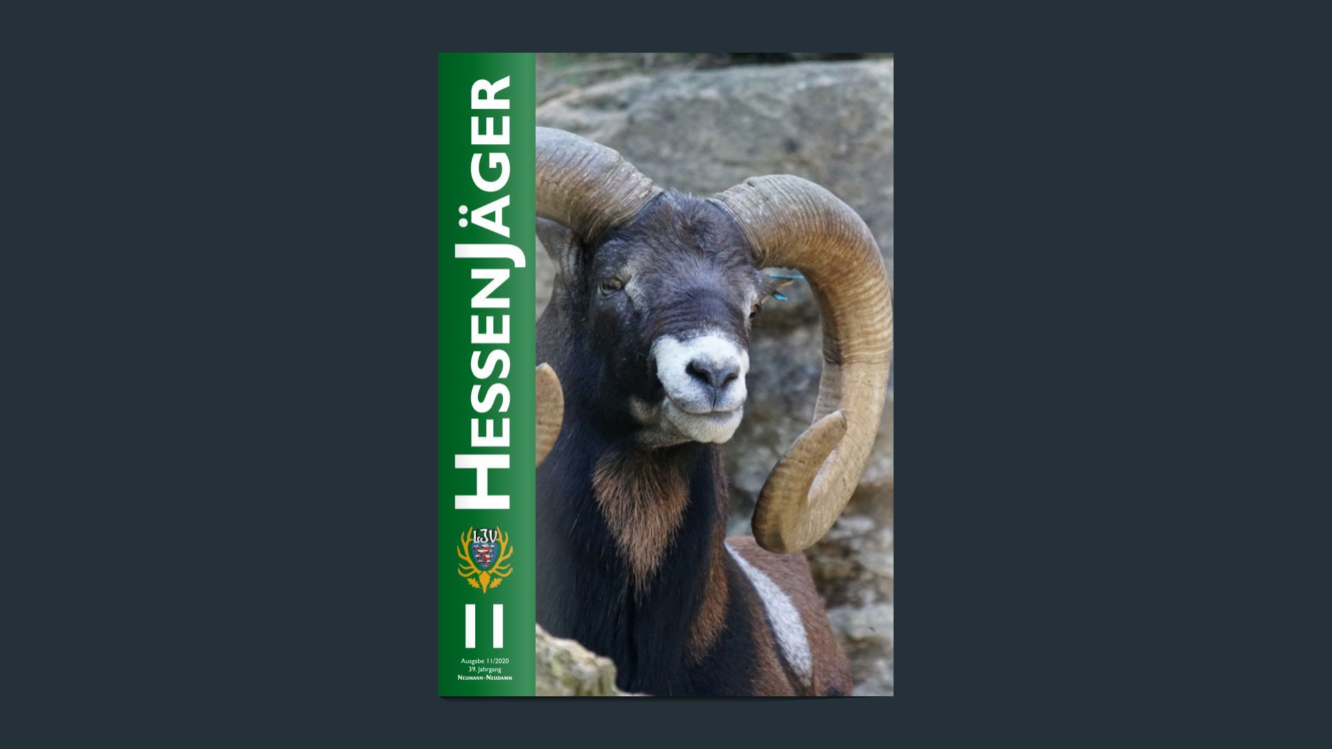 HJ1120.png