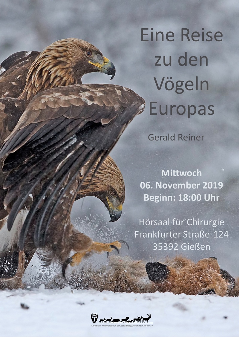 ReisezudenVgeln_Adler_AKW_k.jpg