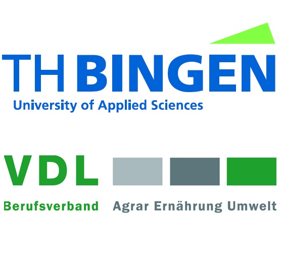 THBingen.jpg