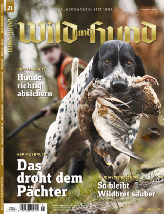 WUH_Titel_2118_1322x420.jpg