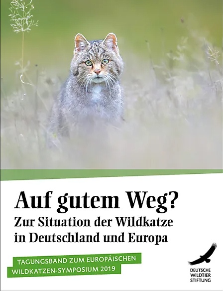 WiKaDeWiSt.jpg