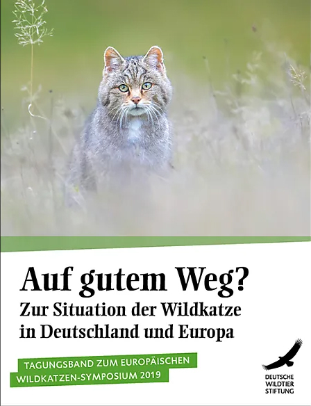 WiKaDeWiSt.jpg