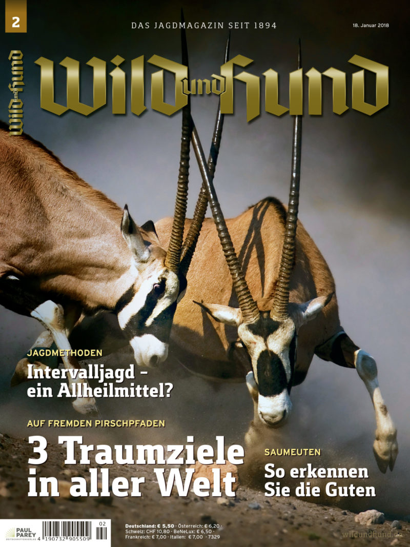 copy_of_WH218.jpg