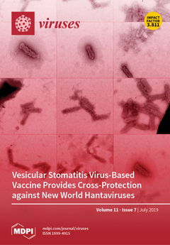 covervirusesv11i7.png