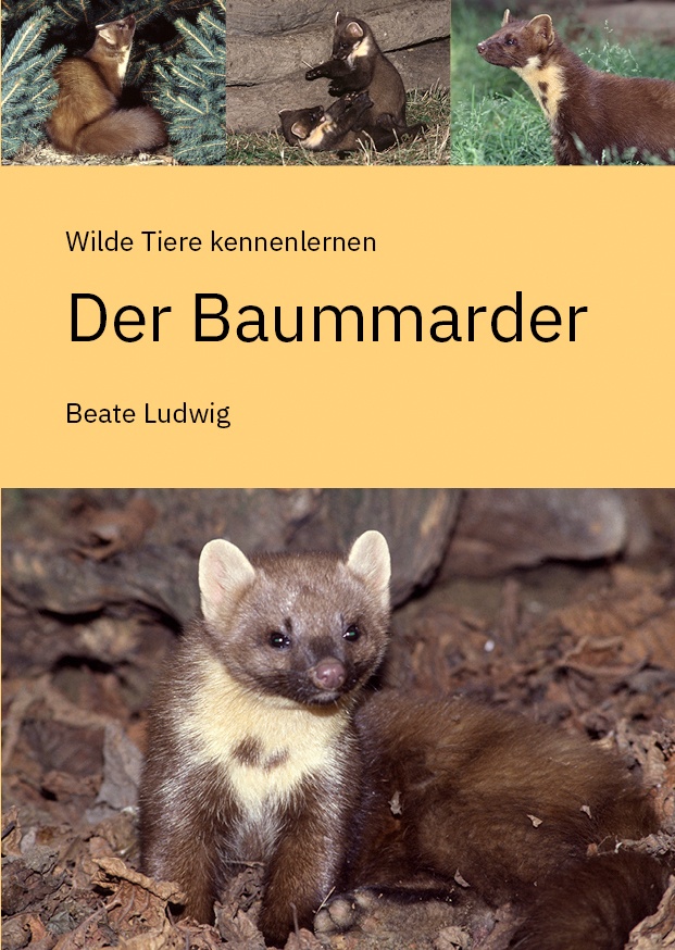 LudwigBaummarderDeckelNEU.jpg