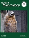 m_cover.jpeg