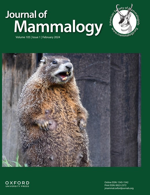 m_cover.jpeg