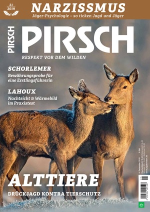 pirsch21.jpg